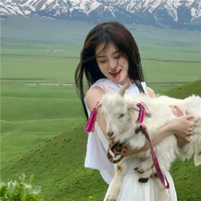 摩登50 海报