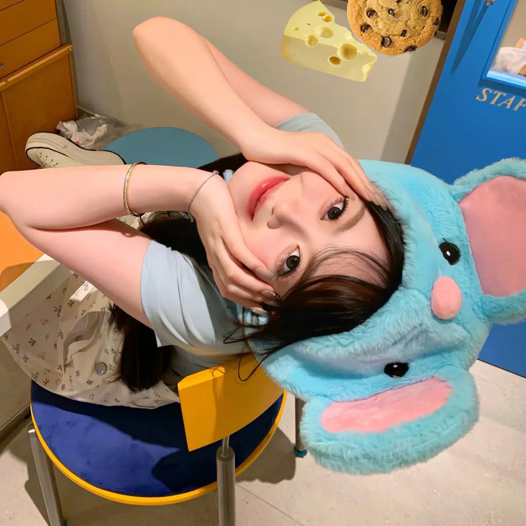 租赁猫 海报